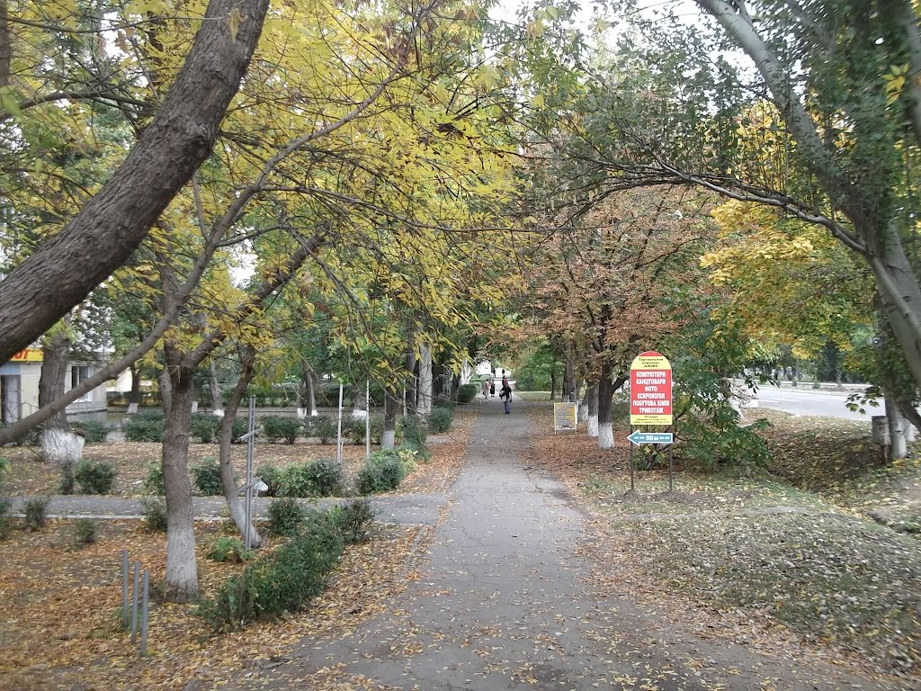Аллея по ул. Ленина