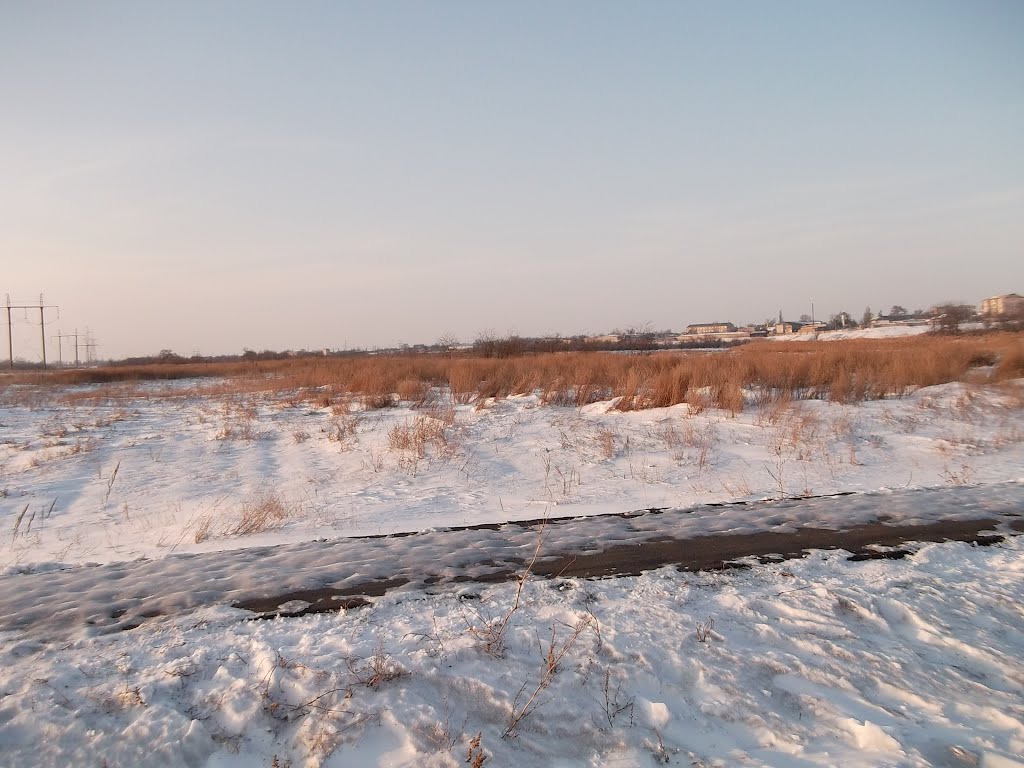 дмитровский пустырь