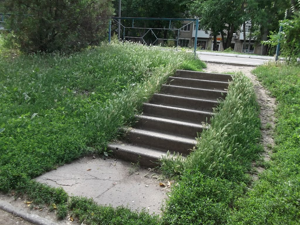 ступеньки у первой школы