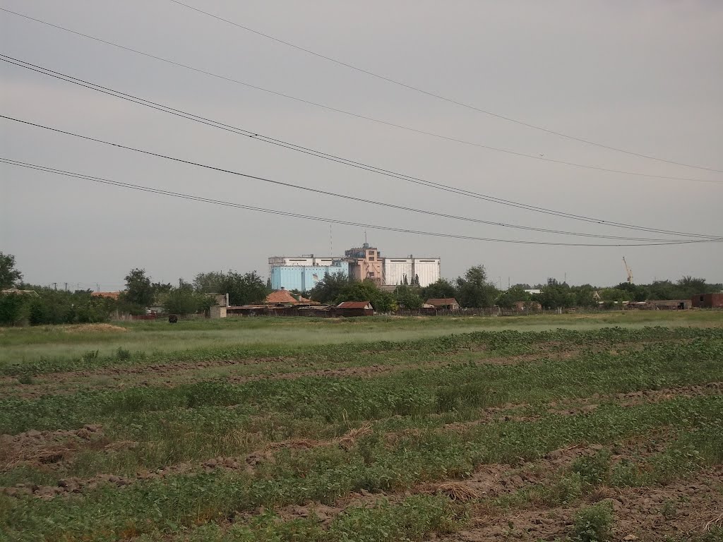 Элеватор