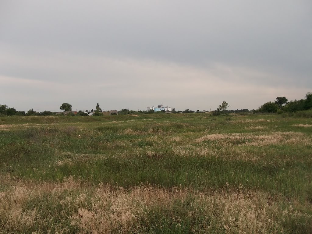 дмитровская степь