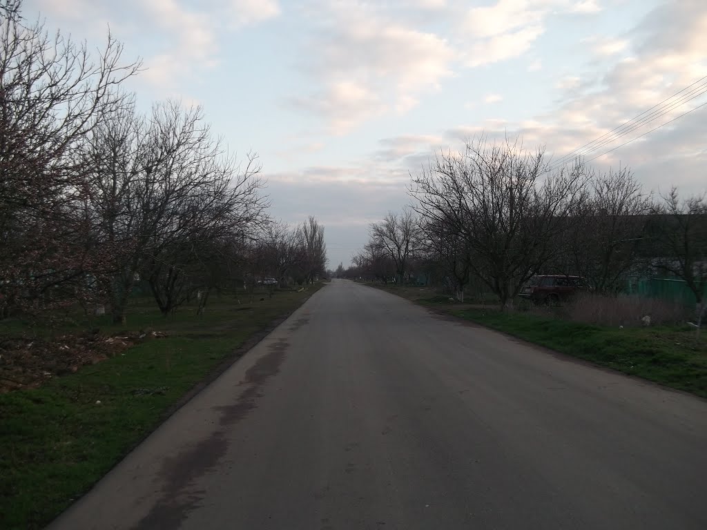 долгая дорога по улице революции