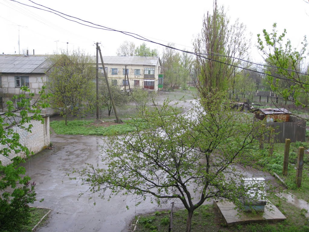Вул. Микули