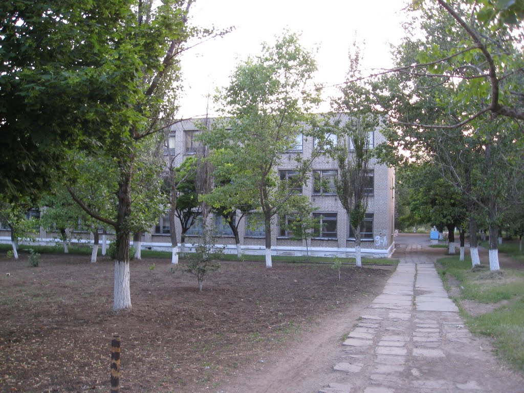 школа