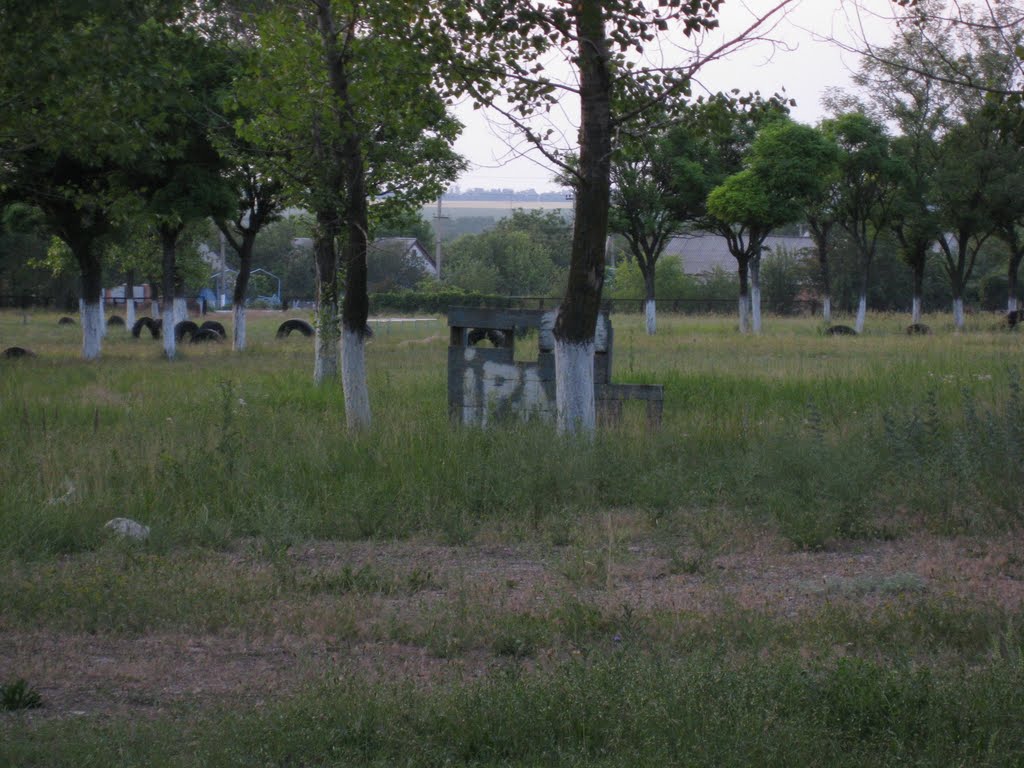 школа