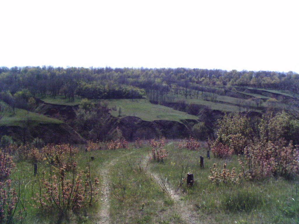 Барановая балка