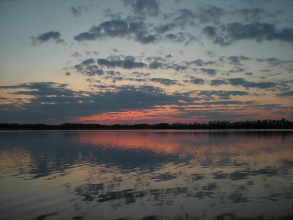 Плавневая зона района Пески (Plavnevaja zone of area Sand)