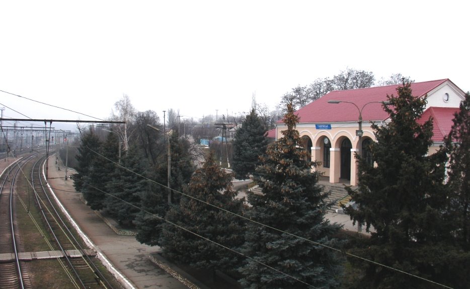 Таврическ (Васильевка)