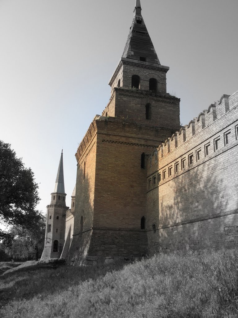 Ukraine, Vasylivka, The Popov Castle
