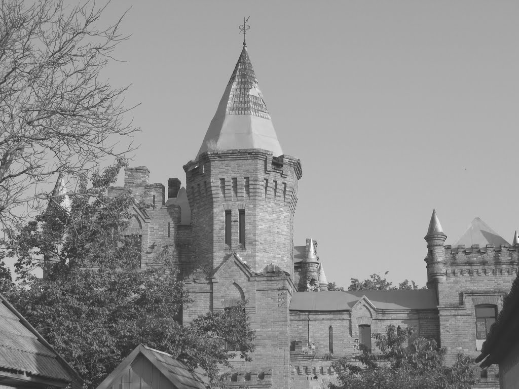 Ukraine, Vasylivka, The Popov Castle