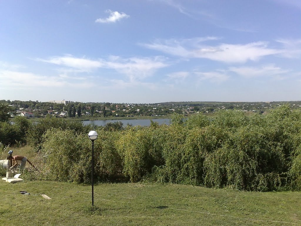 Васильевка