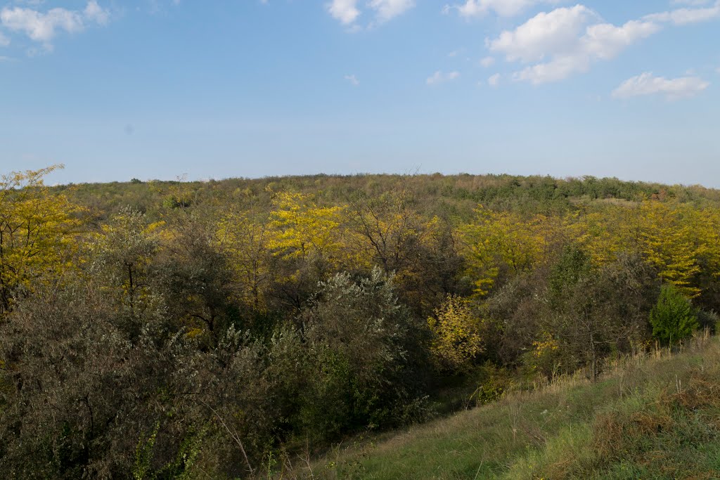 Лысая гора, Васильевка