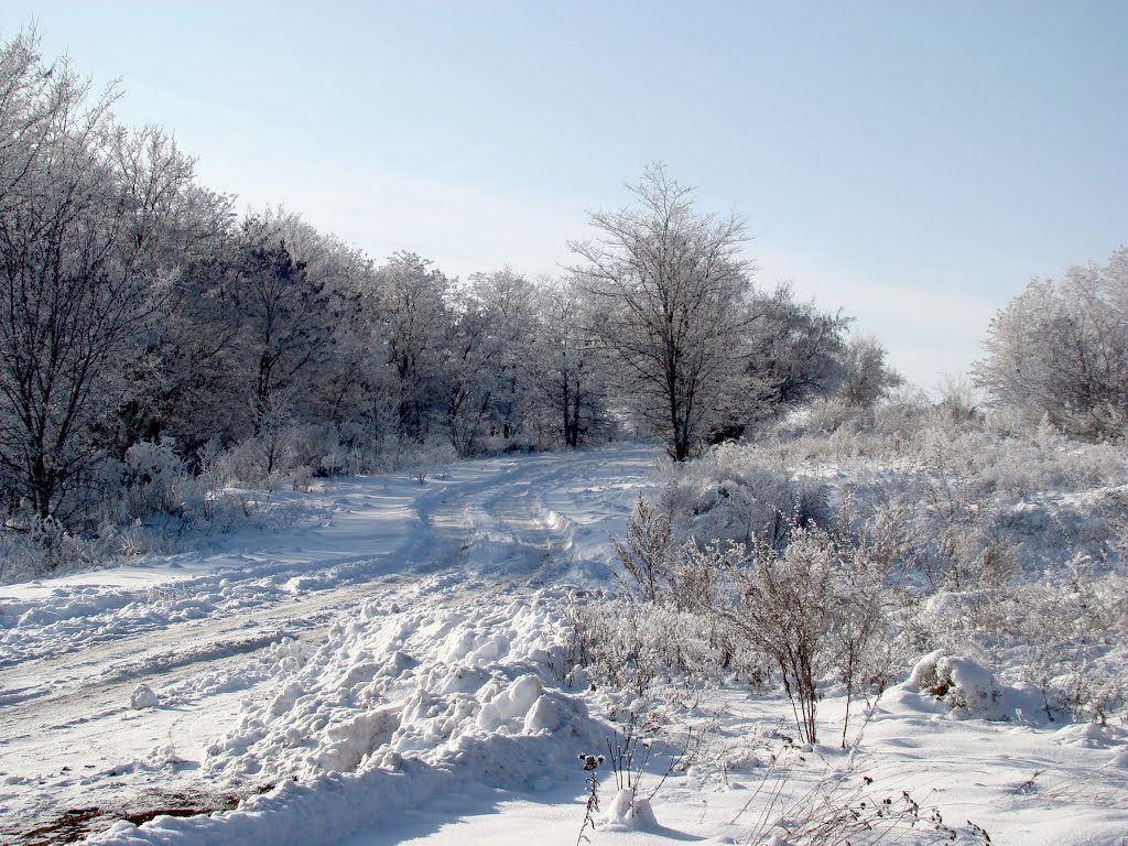 зимняя дорога