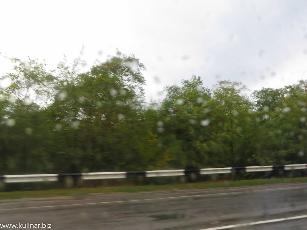 дорога