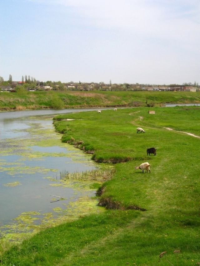 Пейзаж местности