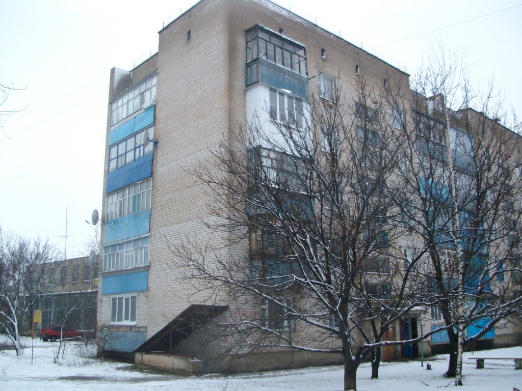 Петровского 12