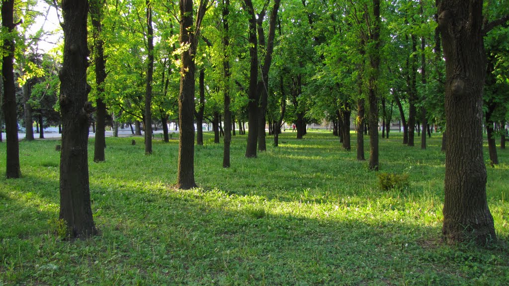 Парк (2010.05.07)