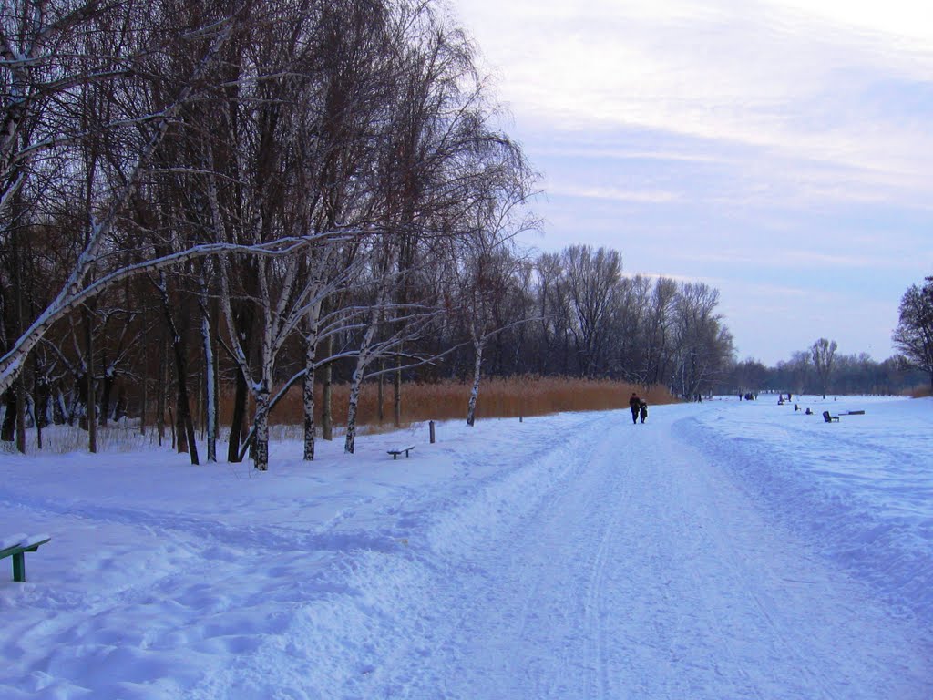 Red river valley...Winter road...