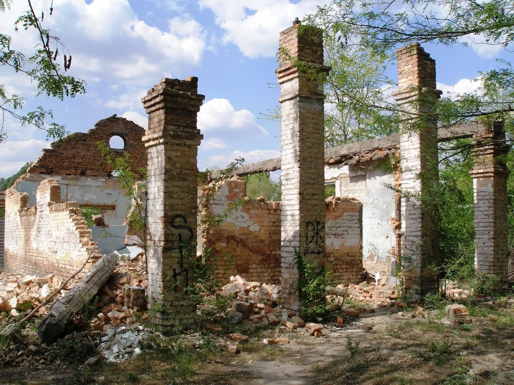 Руїни у старому парку