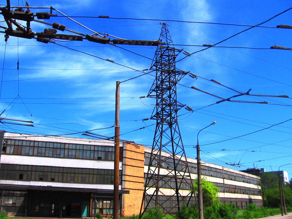 Wires & life...