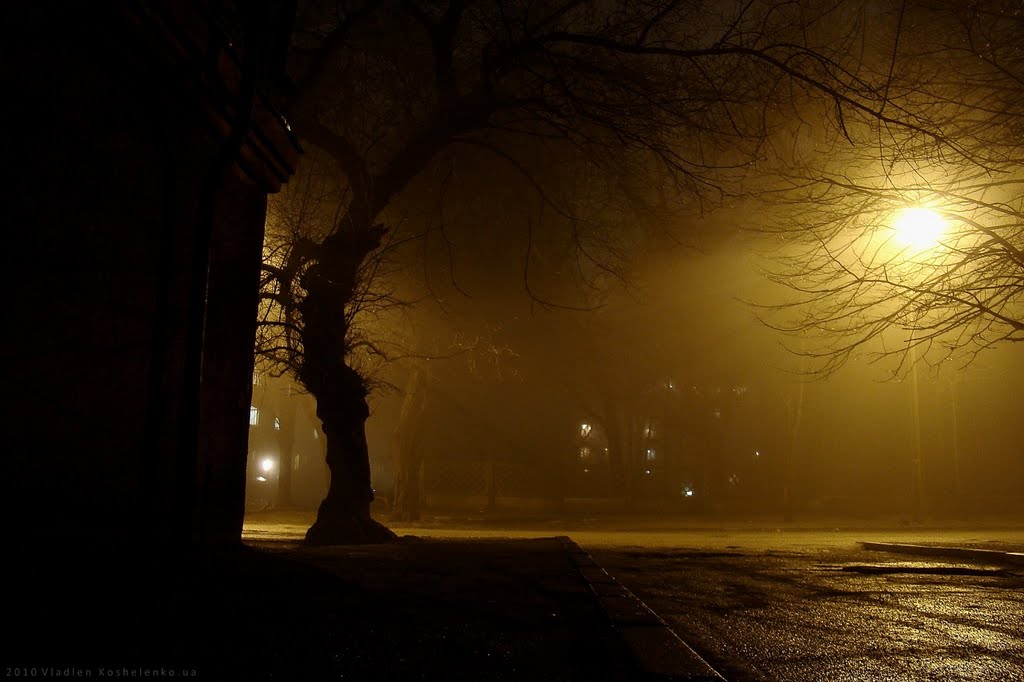 Fog