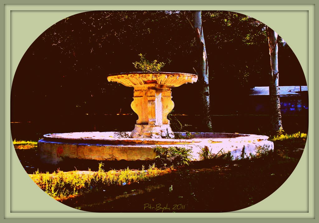 abandoned fountain 0222