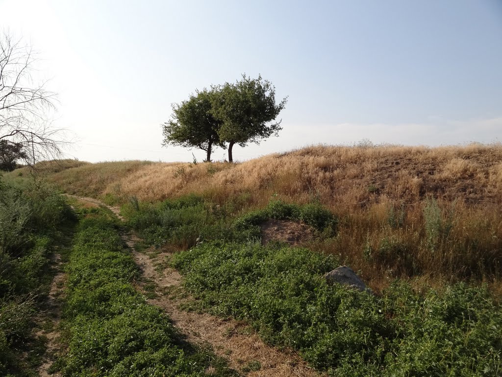 Shaft of the Ancient Acropolis