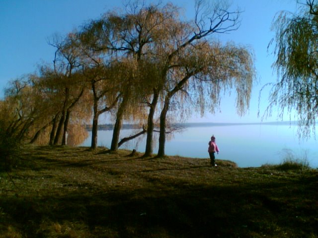 Осень 2007, берег Белозёрского лимана