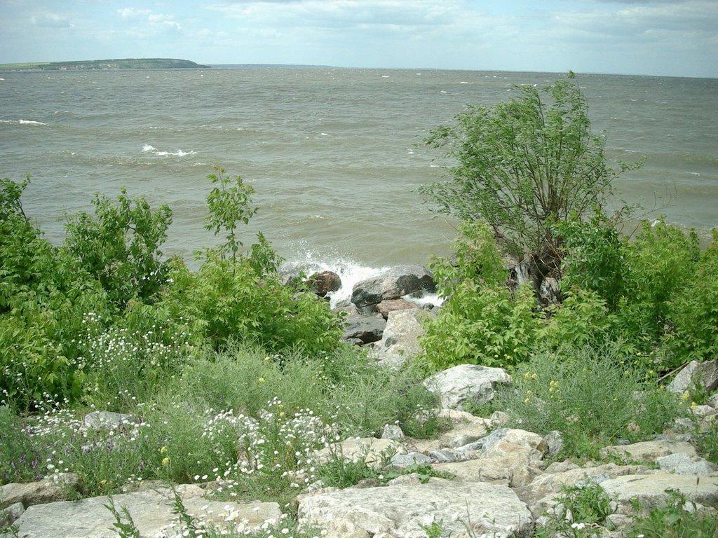 Берег Каховского водохранилища