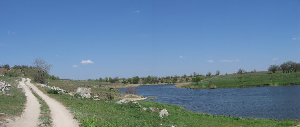 ставок