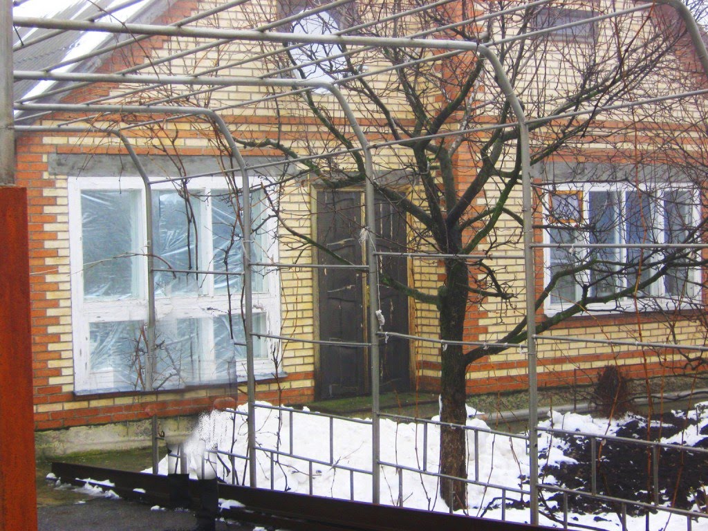 Дом зимой. Январь 2010 г.