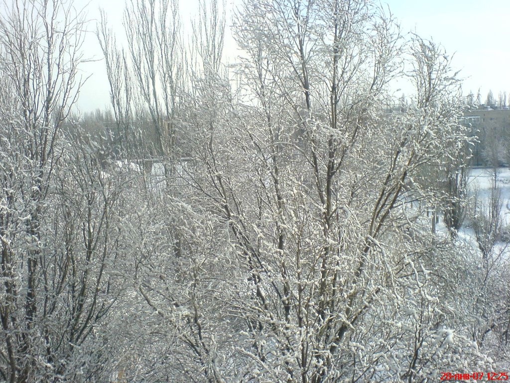 Зима в Мелитополе