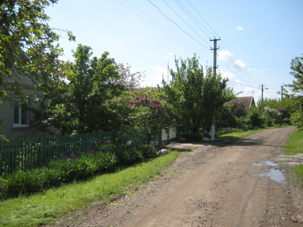 Это Родина моя...