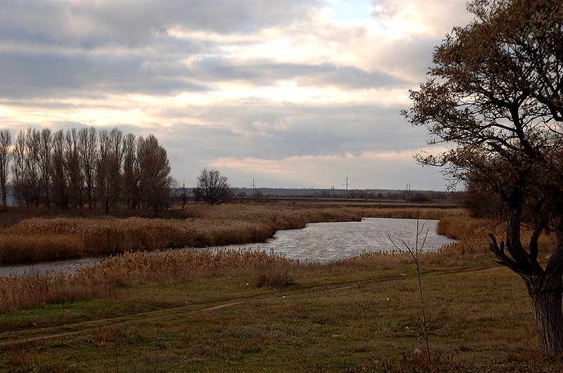 Tersa(река Терса)