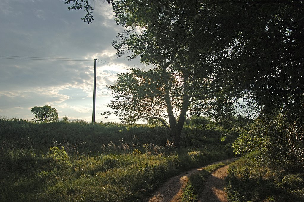 Вечер 6 июня 2009