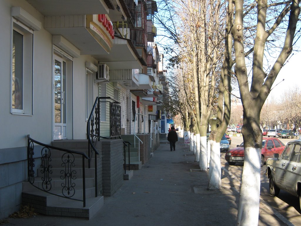 Ул. Лен. Курсантов