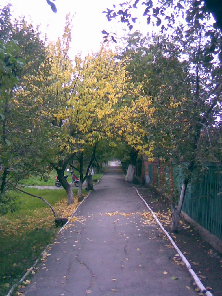 ул. Гоголя