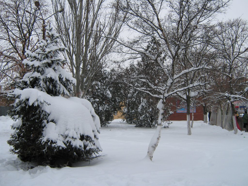 ул. Лен. Курсантов