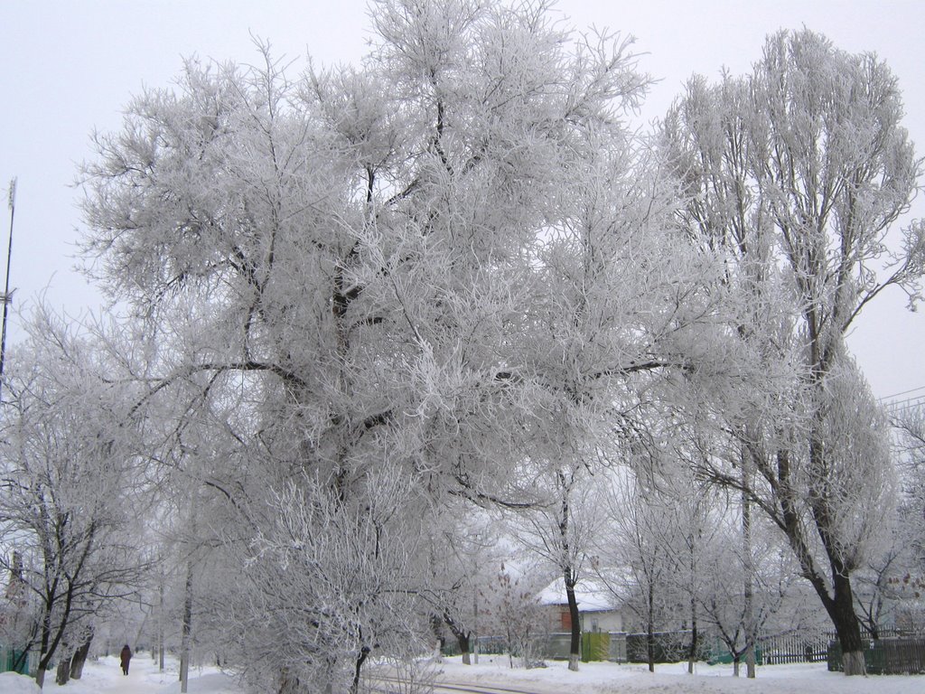ул. Гоголя