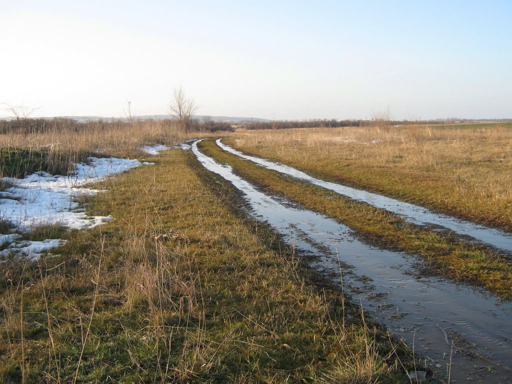 Полевая дорога