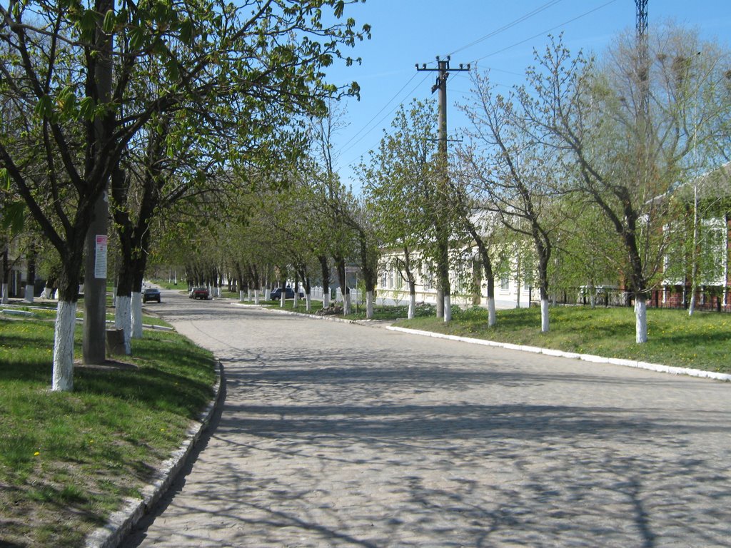 ул. Шевченко