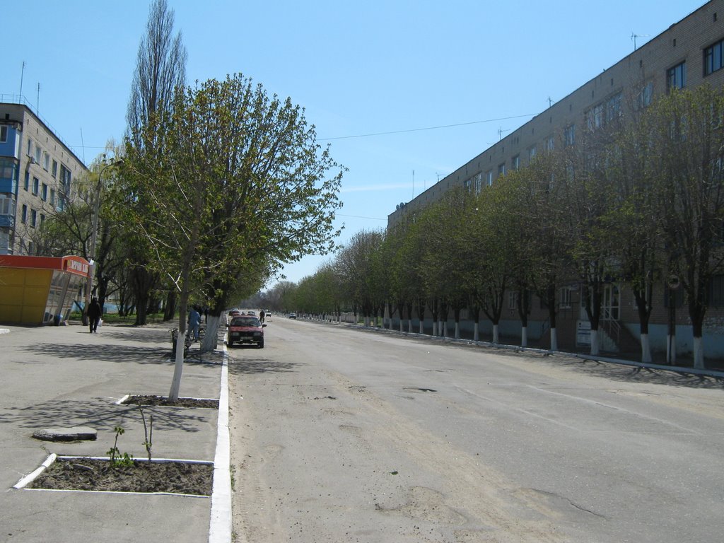 ул. Лен. Курсантов