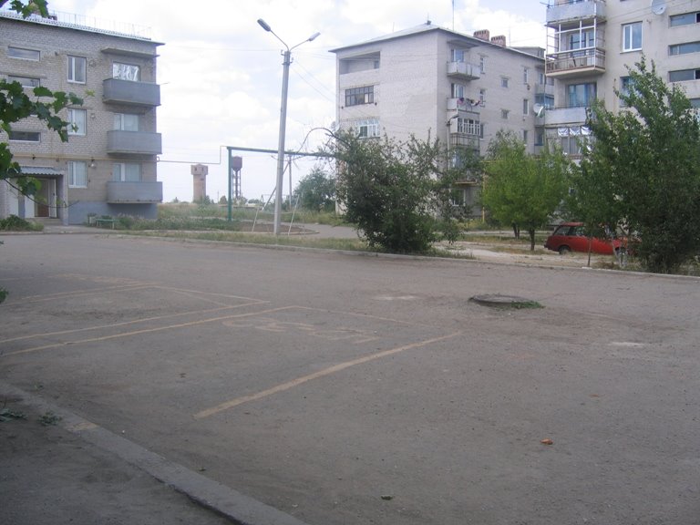 Двор 29-го дома
