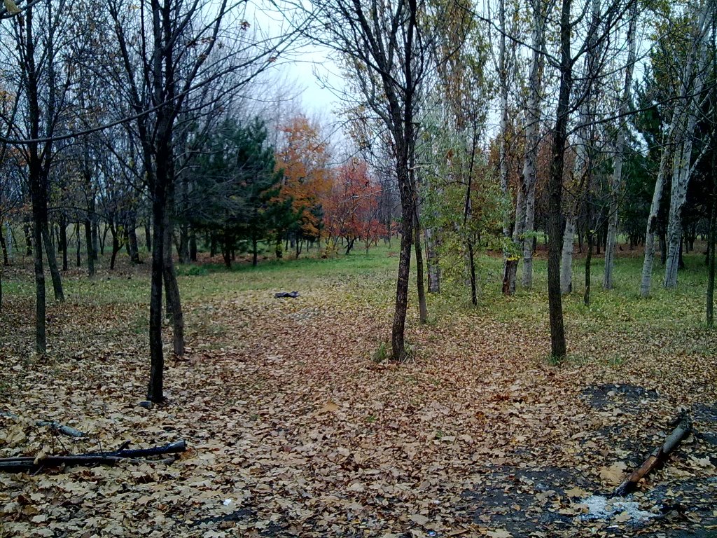Осінь 2008