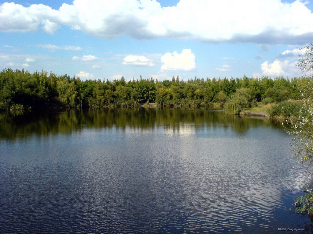 р. Конка (расширение реки за "Бубликом")