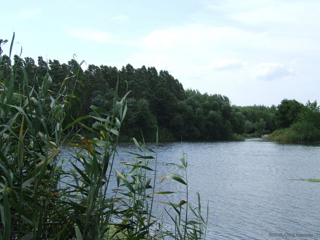 р. Конка возле границ г. Пологи