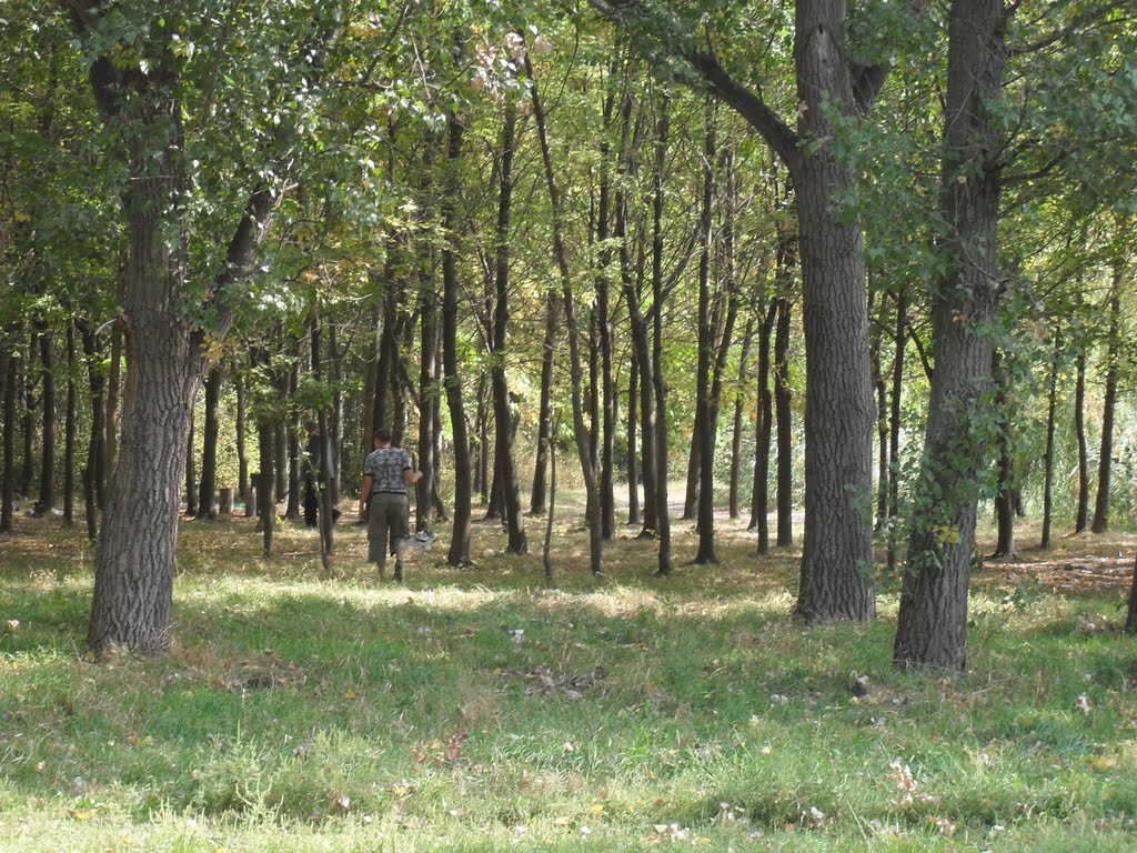 остров