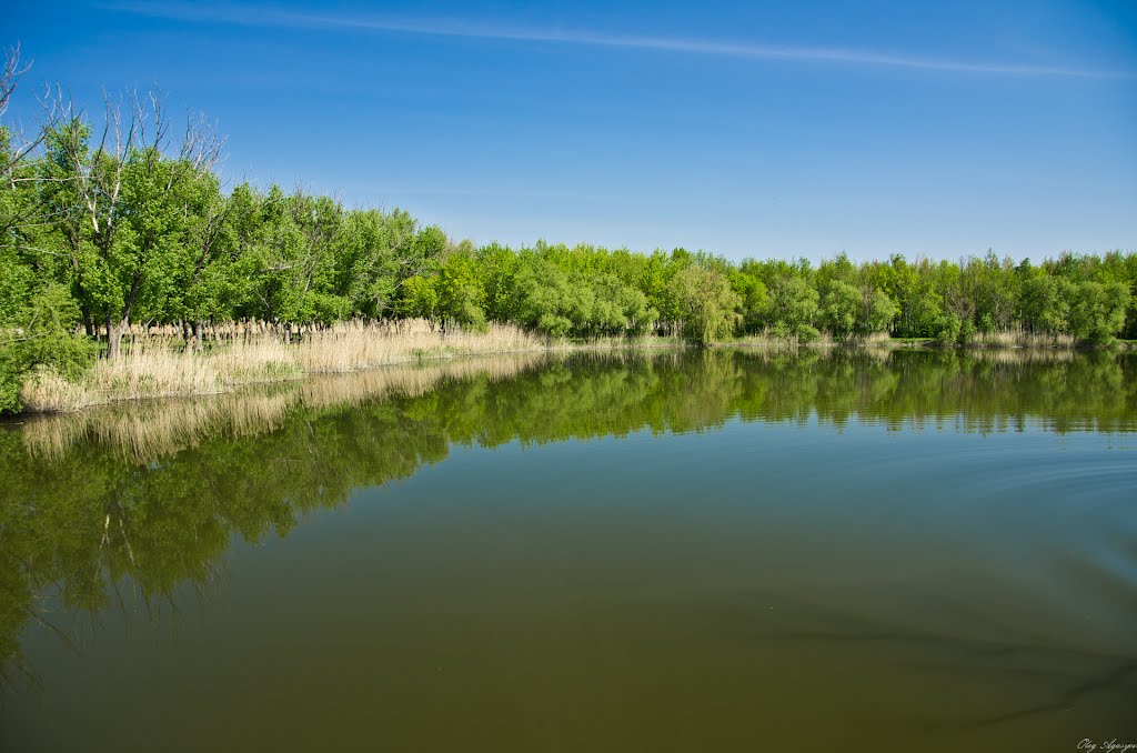 Река Конка
