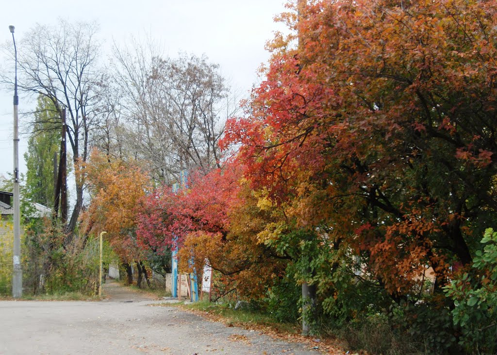 Осенняя мозаика