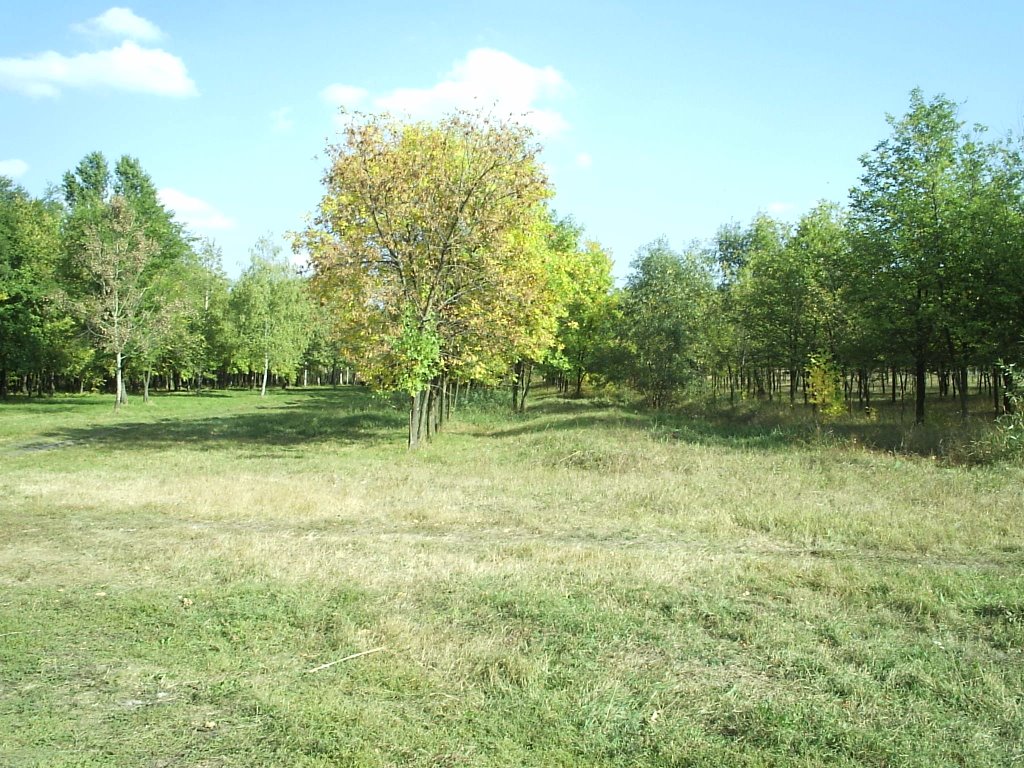 м. Пологи, міський парк близ ріки Конка (Кінська)